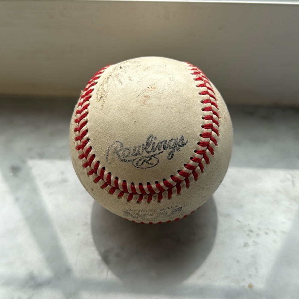 RAWLINGS OFFICIAL NCAA SUN BELT CONFERENCE BASEBALL FLAT
